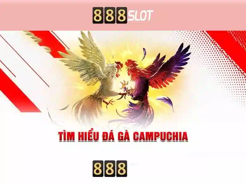 💎xin một slot💎 💎xin một slot💎