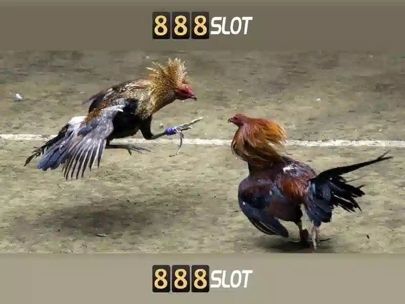 💎galaxy a50 sd card slot💎 💎galaxy a50 sd card slot💎