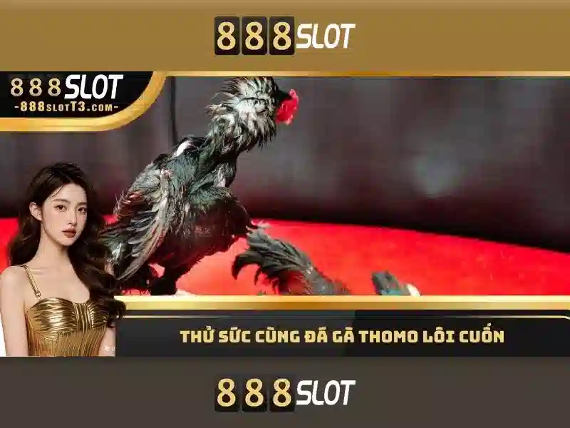 hướng dẫn rút tiền 888 slot 5 - 888SLOT hướng dẫn rút tiền 888 slot 5 - 888SLOT