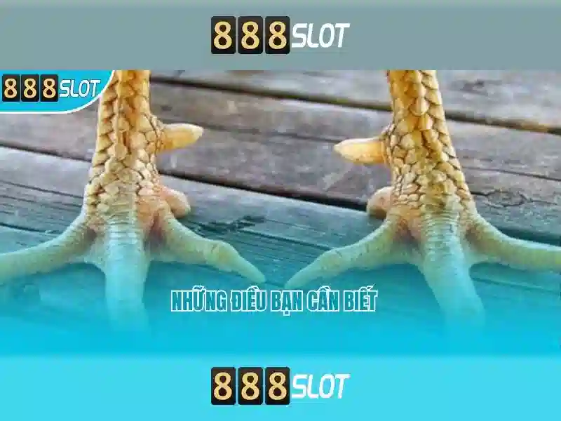 💎xem bong đa keo nha cái💎 💎xem bong đa keo nha cái💎