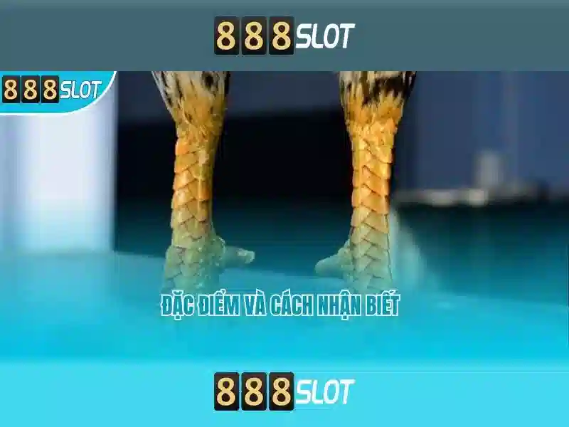 💎trang web đánh bạc trên mạng💎 💎trang web đánh bạc trên mạng💎