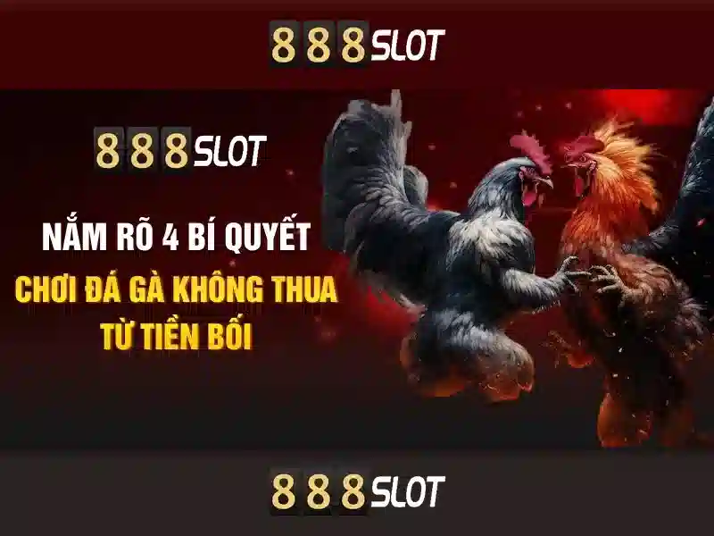 💎slots zoo💎 💎slots zoo💎
