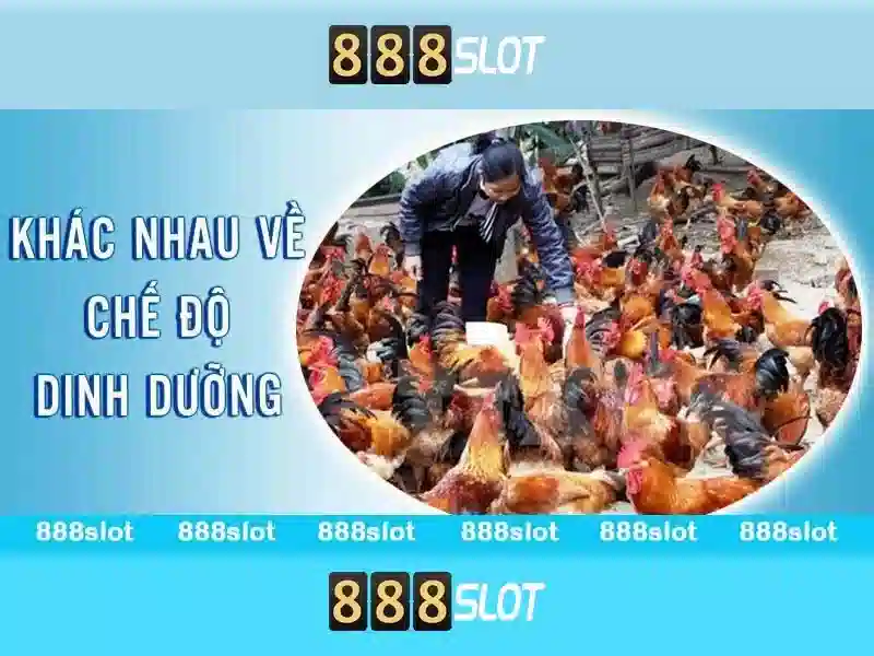 💎kèo nhà cái 24 7💎 💎kèo nhà cái 24 7💎