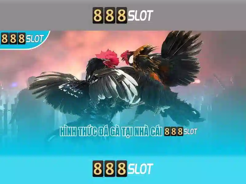 💎onbet nhà cái💎 - onbet nhà cái - onbet slot 💎onbet nhà cái💎 - onbet nhà cái - onbet slot