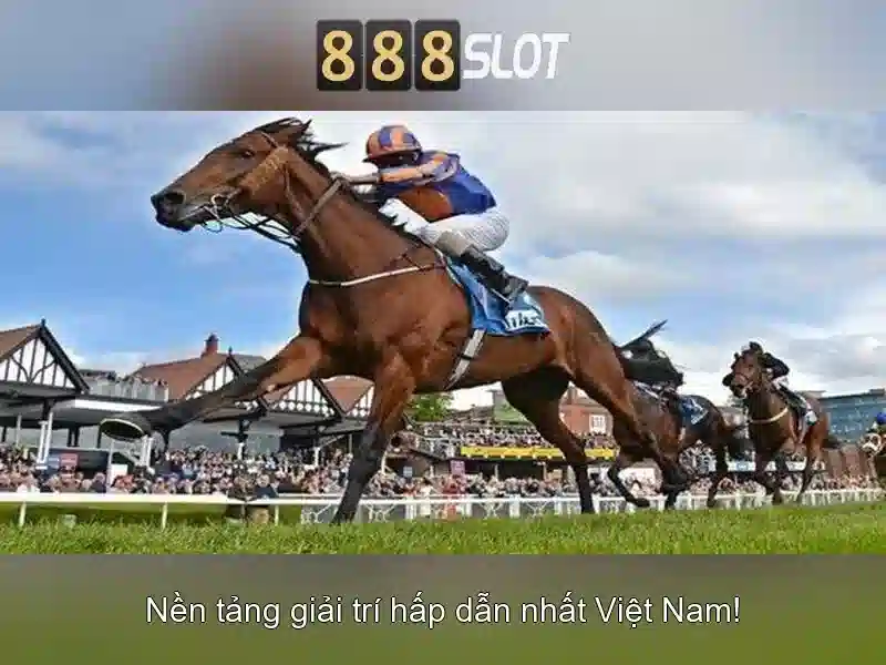 💎ouderwets wc slot💎 💎ouderwets wc slot💎