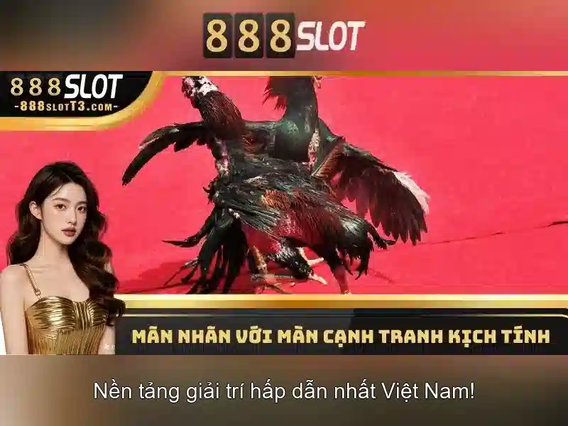 💎keof nha cái💎 💎keof nha cái💎