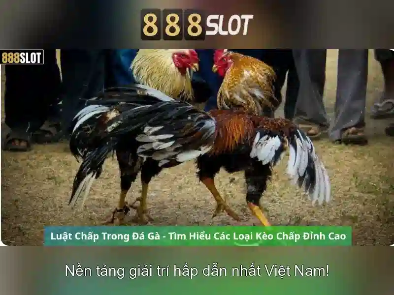 💎khuyến mãi nhà cái nhacai.games💎 💎khuyến mãi nhà cái nhacai.games💎