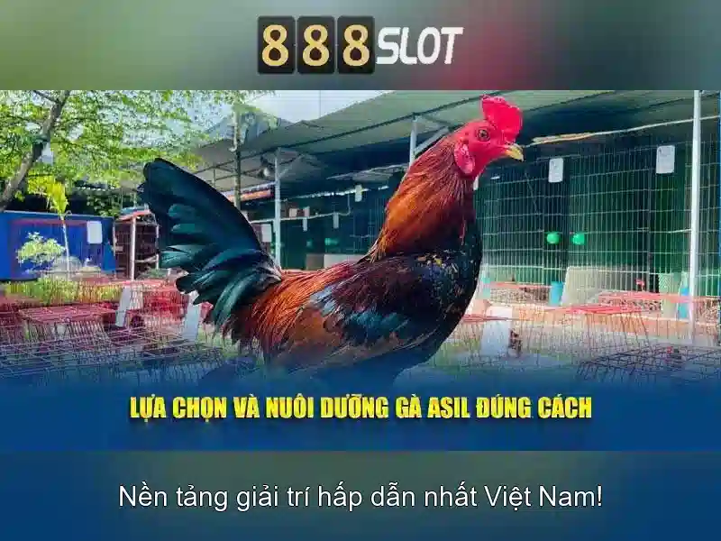 💎v99 cá cược bóng đá💎 💎v99 cá cược bóng đá💎