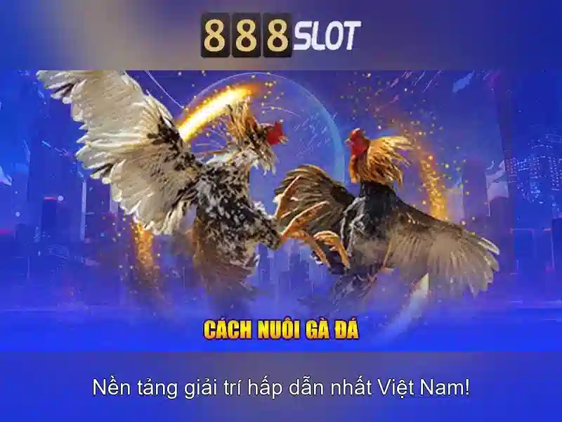 888SLOT – Link Vào Trang Chủ 888SLOT Chính Thức Không Bị Chặn 2026 - 888SLOT 888SLOT – Link Vào Trang Chủ 888SLOT Chính Thức Không Bị Chặn 2026 - 888SLOT