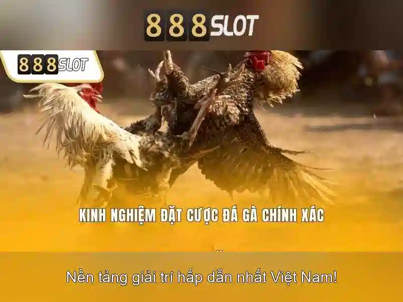 💎keo nha cai keo top💎 💎keo nha cai keo top💎